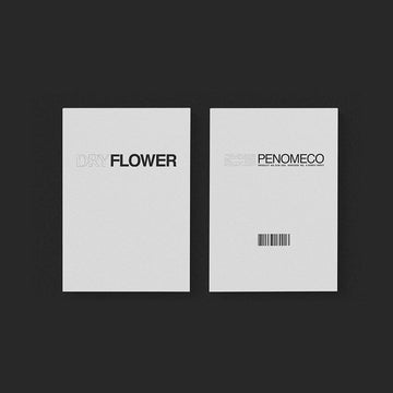 PENOMECO - EP Album [Dry Flower] - KAVE SQUARE