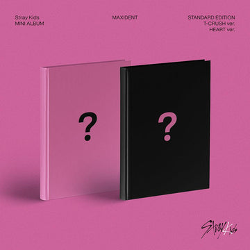 Stray Kids - Mini Album [MAXIDENT] Standard Edition - KAVE SQUARE